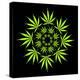 Cannabis Leaves-David Nicholls-Premier Image Canvas