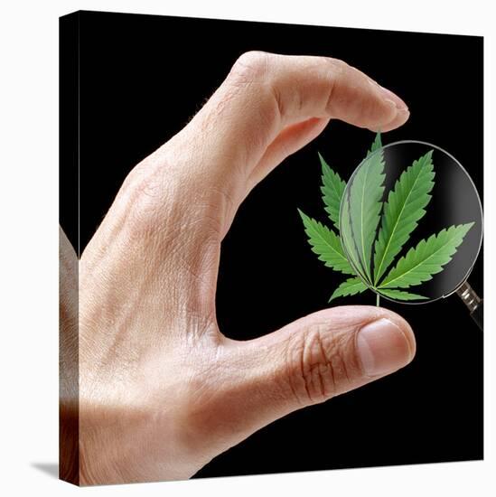 Cannabis Research-Victor De Schwanberg-Premier Image Canvas