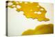 Cannabis Shatter At Oregon Coast Cannabis, A Marajuana Dispensary In Manzanita, Oregon-Justin Bailie-Premier Image Canvas