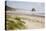 Cannon Beach and Haystack Rock, Oregon, USA-Jamie & Judy Wild-Premier Image Canvas