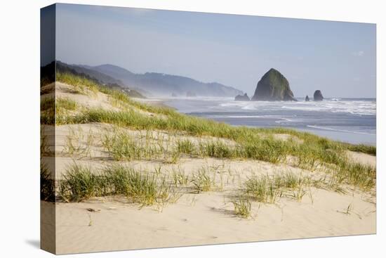 Cannon Beach and Haystack Rock, Oregon, USA-Jamie & Judy Wild-Premier Image Canvas
