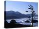 Cannon Beach from Ecola State Park, Oregon, USA-Janell Davidson-Premier Image Canvas