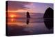 Cannon Beach II-Ike Leahy-Premier Image Canvas