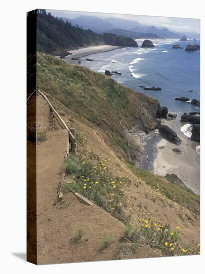 Cannon Beach, Lewis and Clark Trail, Ecola State Park, Oregon, USA-Connie Ricca-Premier Image Canvas