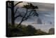 Cannon Beach, Oregon-Art Wolfe-Premier Image Canvas