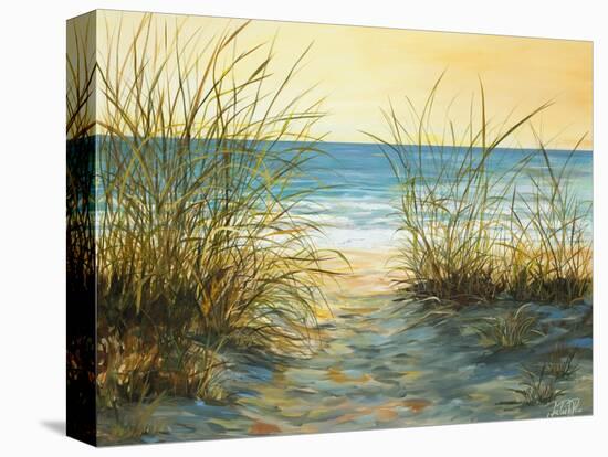 Cannon Beach-Julie DeRice-Stretched Canvas