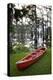 Canoe, Texas's Largest Natural Lake at Sunrise, Caddo Lake, Texas, USA-Larry Ditto-Premier Image Canvas