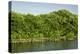 Canoeing Through the Mangroves, La Cienaga de La Vorgin, Colombia-Jerry Ginsberg-Premier Image Canvas