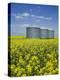 Canola Field in Saint Agathe, Winnipeg Region, Manitoba, Canada, North America-Richard Cummins-Premier Image Canvas