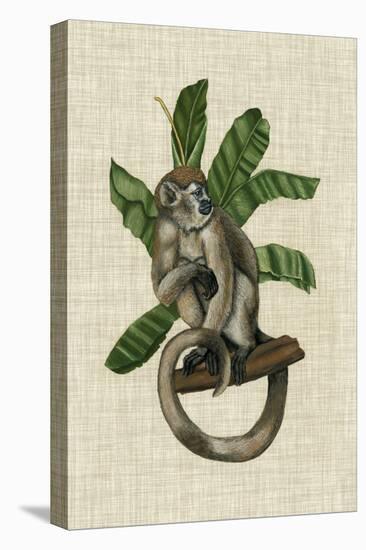 Canopy Monkey I-Naomi McCavitt-Stretched Canvas