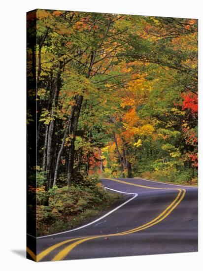 Canopy of Autumn Color over Highway 41, Copper Harbor, Michigan, USA-Chuck Haney-Premier Image Canvas