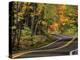Canopy of Autumn Color over Highway 41, Copper Harbor, Michigan, USA-Chuck Haney-Premier Image Canvas