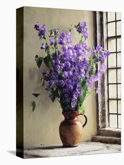 Canterbury Bells-Clay Perry-Premier Image Canvas