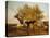 Canterbury Meadows, Evening-Thomas Sidney Cooper-Premier Image Canvas