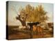 Canterbury Meadows, Evening-Thomas Sidney Cooper-Premier Image Canvas