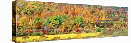 Cantilever bridge and autumnal trees in forest, Central Bridge, New York State, USA-Panoramic Images-Premier Image Canvas
