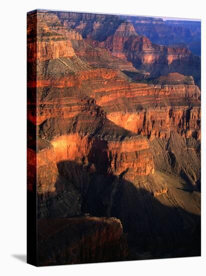 Canyon at Pima Point, Grand Canyon National Park, USA-John Elk III-Premier Image Canvas