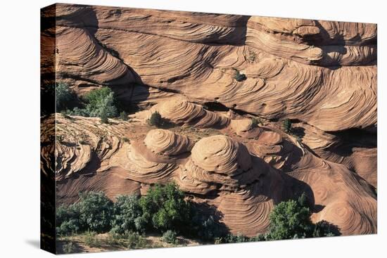 Canyon De Chelly National Monument, Navajo Indian Reservation, Arizona, USA-null-Premier Image Canvas