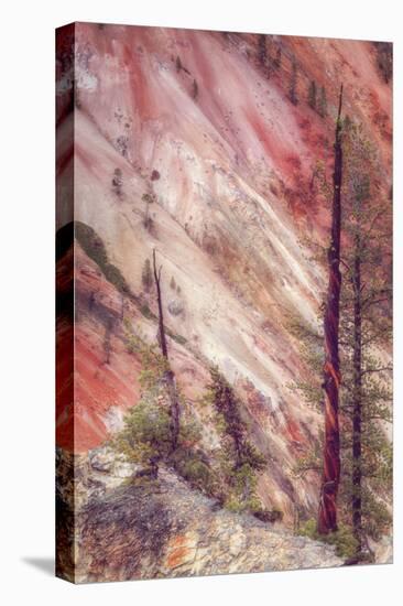 Canyon Detail, Yellowstone-Vincent James-Premier Image Canvas