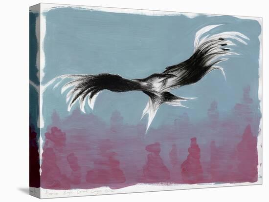 Canyon Eagle, 2014-Nancy Moniz-Premier Image Canvas