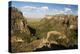 Canyon in Isalo National Park at Sunset, Ihorombe Region, Southwest Madagascar, Africa-Matthew Williams-Ellis-Premier Image Canvas