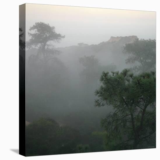 Canyon Mist III-Nicole Katano-Stretched Canvas