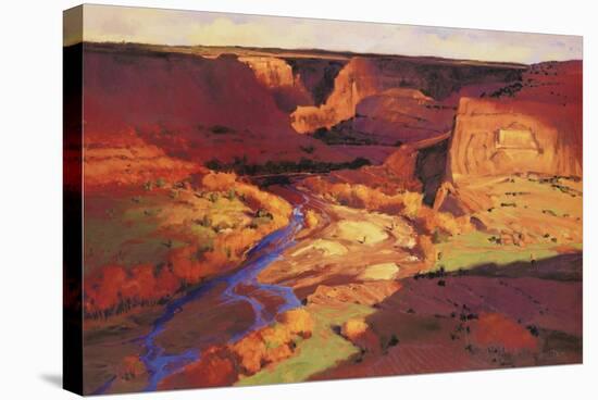 Canyon River-Paul Davis-Stretched Canvas