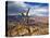 Canyon View V-David Drost-Premier Image Canvas