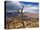 Canyon View V-David Drost-Premier Image Canvas