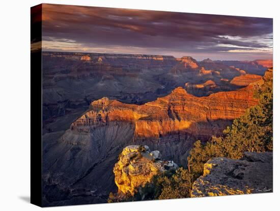 Canyon View X-David Drost-Premier Image Canvas