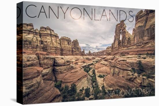 Canyonlands National Park, Utah - Cloudy Canyon View-Lantern Press-Stretched Canvas