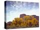 Canyonlands NP, Utah. Cottonwoods in Autumn Below Cliffs and Clouds-Scott T. Smith-Premier Image Canvas