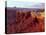 Canyonlands NP, Utah. White Rim Sandstone and Cutler Formation, Sunset-Scott T. Smith-Premier Image Canvas