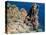 Cap De Dramont, Corniche De L'Esterel, Var, Cote d'Azur, French Riviera, Provence, France-Bruno Barbier-Premier Image Canvas