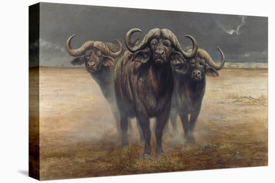 Cape Buffalos-Harro Maass-Premier Image Canvas