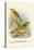 Cape Canary, Sulphur-Coloured Seed-Eater-Arthur G. Butler-Stretched Canvas