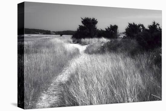 Cape Cod 2-Robert Seguin-Stretched Canvas