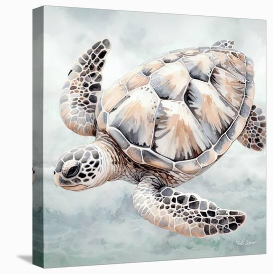 Cape Cod Turtle-Nicole DeCamp-Stretched Canvas