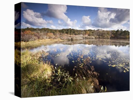 Cape Cod Wetlands, Massachusetts, USA-William Sutton-Premier Image Canvas