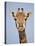 Cape Giraffe (Giraffa Camelopardalis Giraffa), Kruger National Park, South Africa, Africa-James Hager-Premier Image Canvas