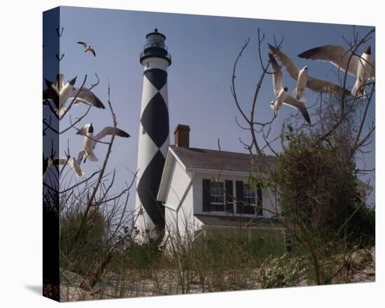 Cape Lookout I-Steve Hunziker-Stretched Canvas