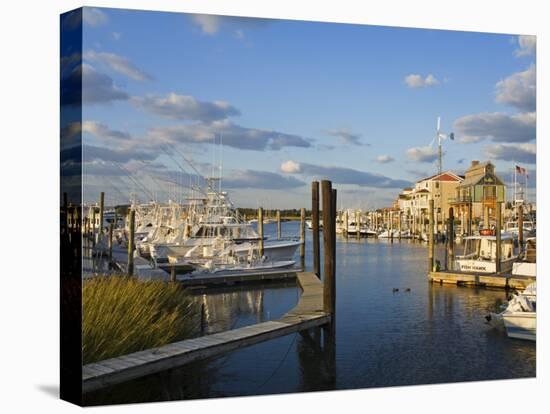 Cape May Harbor, Cape May County, New Jersey, United States of America, North America-Richard Cummins-Premier Image Canvas