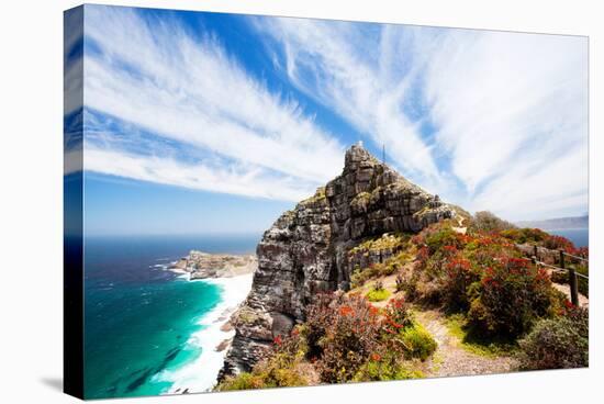 Cape Point, Cape Peninsula, South Africa-michaeljung-Premier Image Canvas