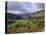Capel Curig and Snowdonia, North Wales, UK-Nigel Francis-Premier Image Canvas