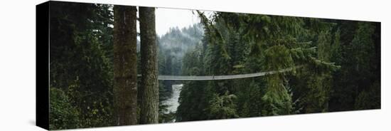 Capilano Suspension Bridge, Vancouver, British Columbia, Canada, North America-null-Premier Image Canvas
