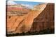 Capital Reef National Park-Liam Doran-Stretched Canvas