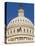 Capitol Building and Flag-Rudy Sulgan-Premier Image Canvas
