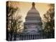 Capitol Building, Washington, D.C., USA-null-Premier Image Canvas
