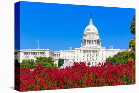 Capitol Building Washington DC Pink Flowers Garden USA Congress US-holbox-Premier Image Canvas