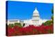Capitol Building Washington DC Pink Flowers Garden USA Congress US-holbox-Premier Image Canvas